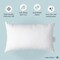 12x20 Pillow Insert - Pack of 2 White Decorative Pillow for Sofa Bed, Fluffy Pillow Inserts for Throw Pillow Covers, Bed, Couch Pillows for Living Room